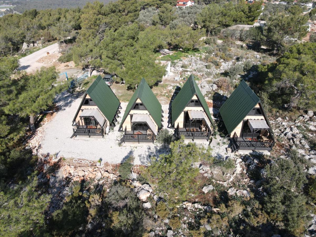 Patara 1 *