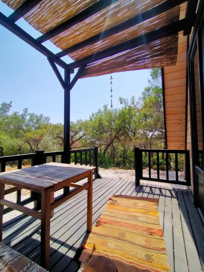 Patara 1