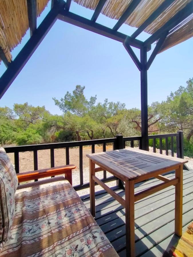 Patara 1 Kas